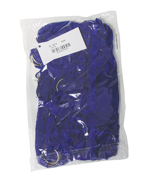 Sapphire Dreams Feather Lace and Mesh Bustier w/Thong 2 pc Set - Royal LG