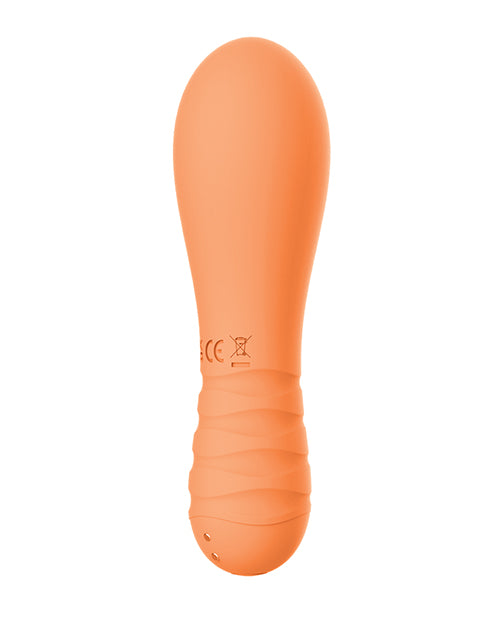 NT3293