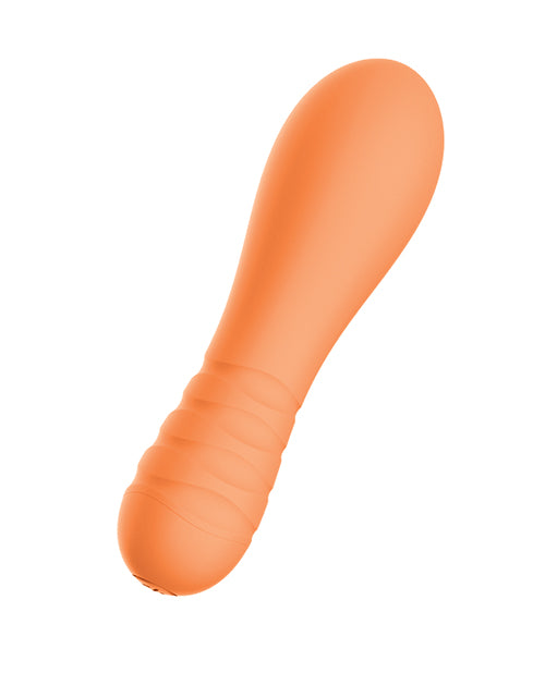 NT3293