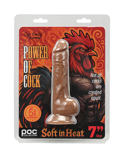 OEJSG-PC-F741