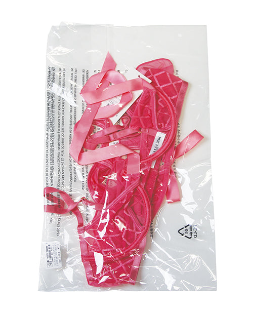 Aubrielle Diamond Mesh Underwire Bra w/Thong 2 pc Set - Pink XL