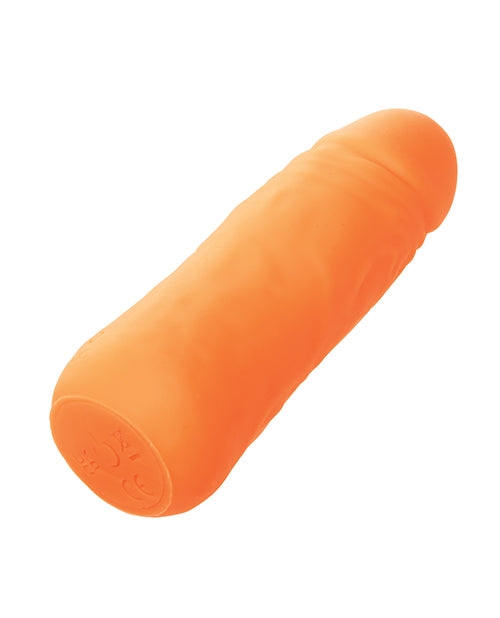 SE0250-07