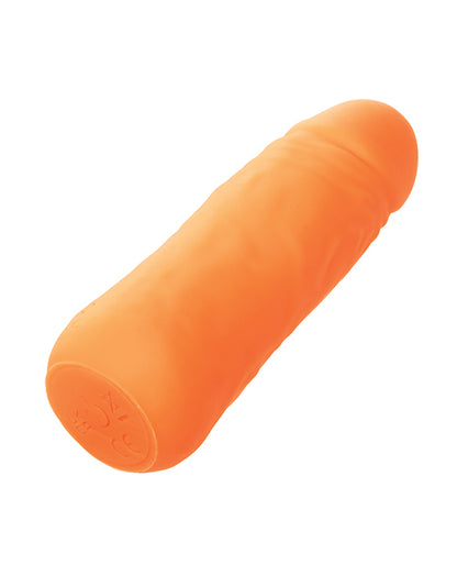 SE0250-07