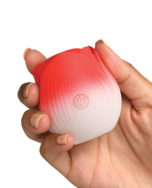 XRAH387-Red